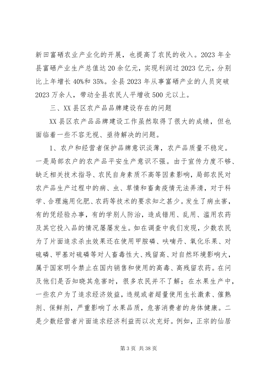 2023年新时期我县农产品品牌建设的问题与对策.docx_第3页