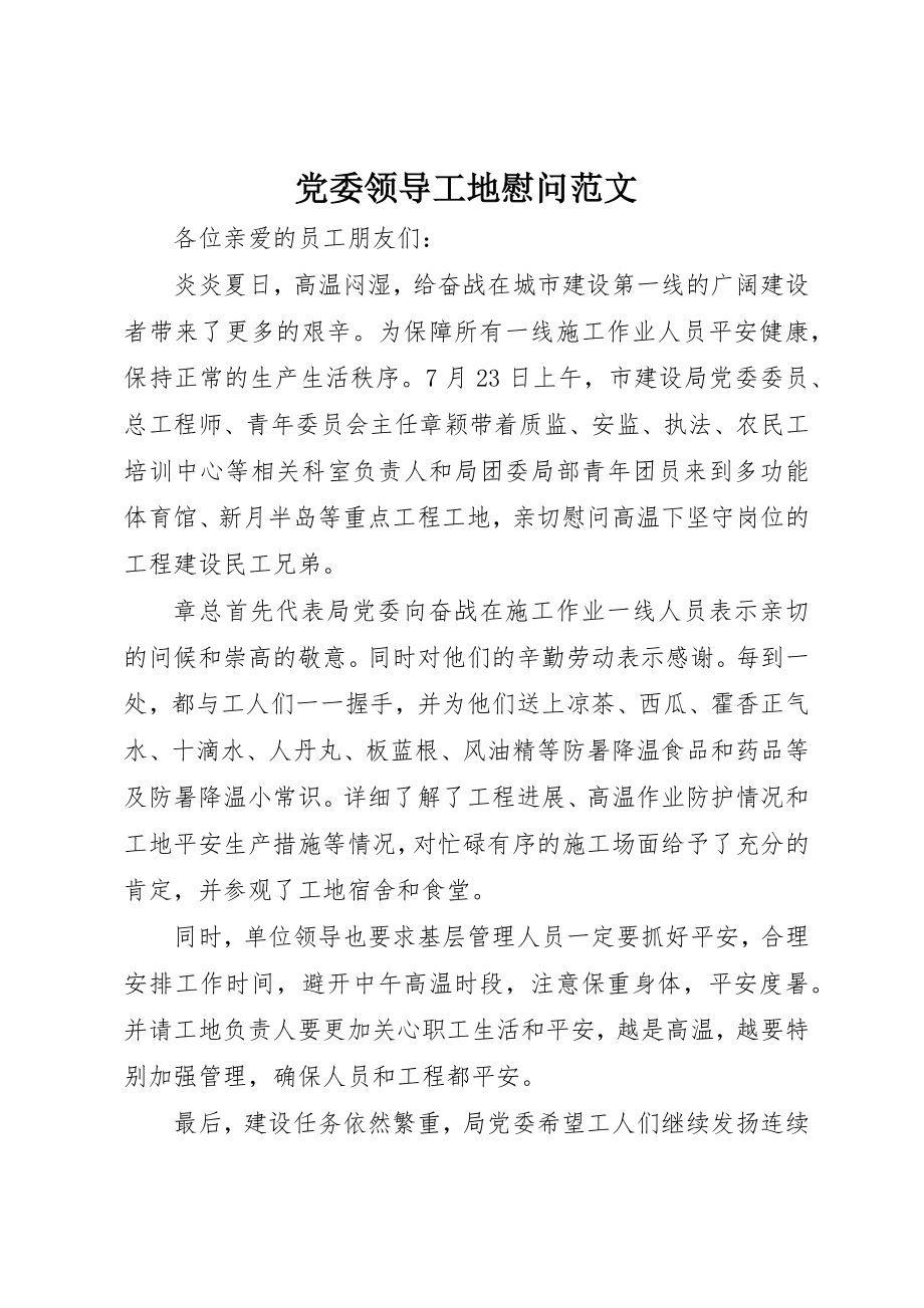 2023年党委领导工地慰问.docx_第1页