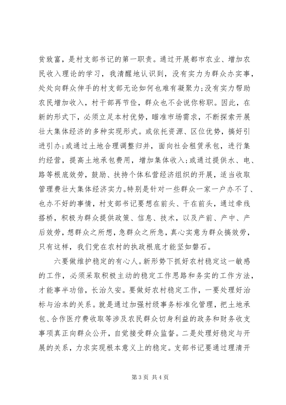 2023年建党演讲稿做好“六种人”当好支部书记.docx_第3页