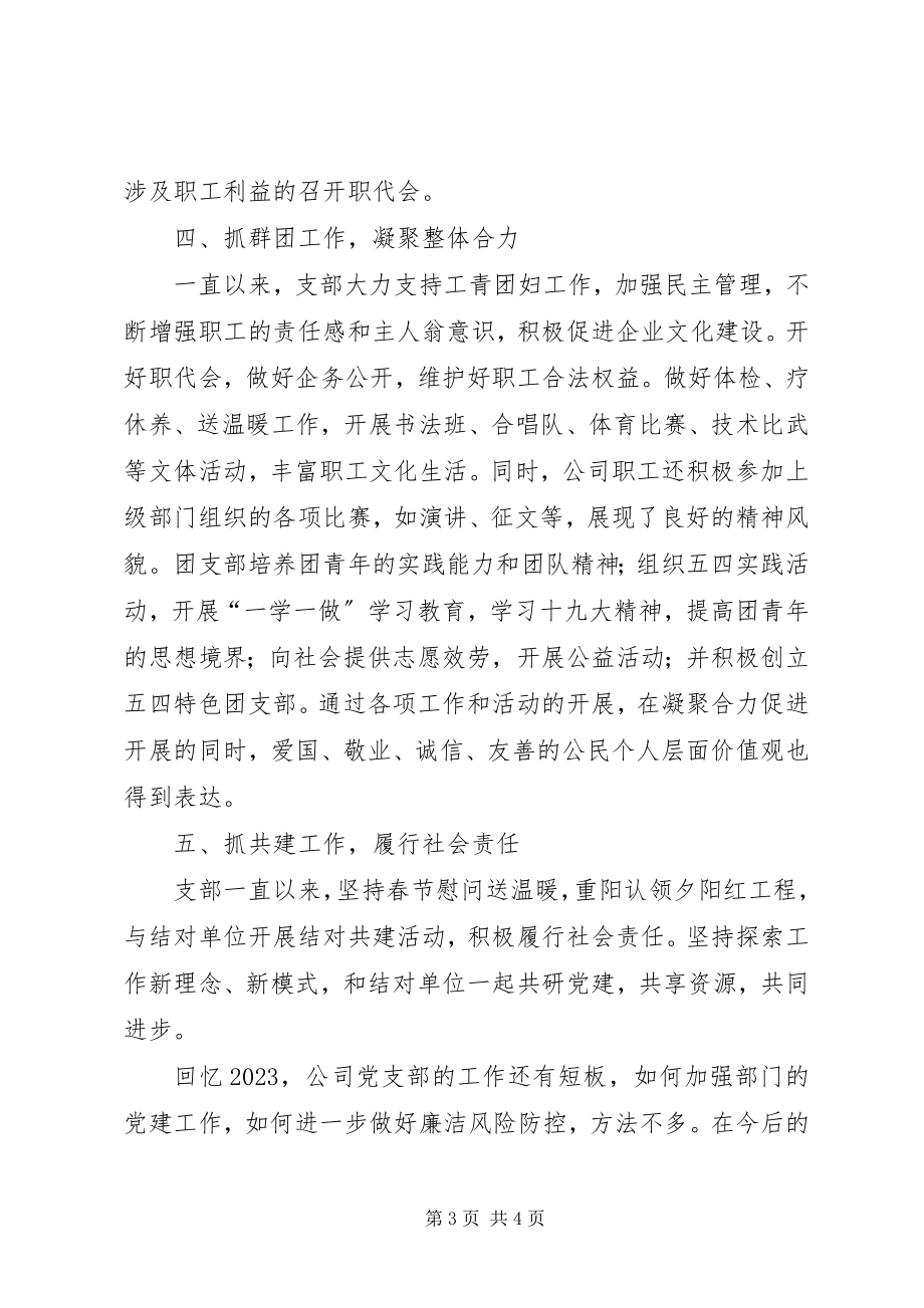 2023年公司党支部工作总结.docx_第3页