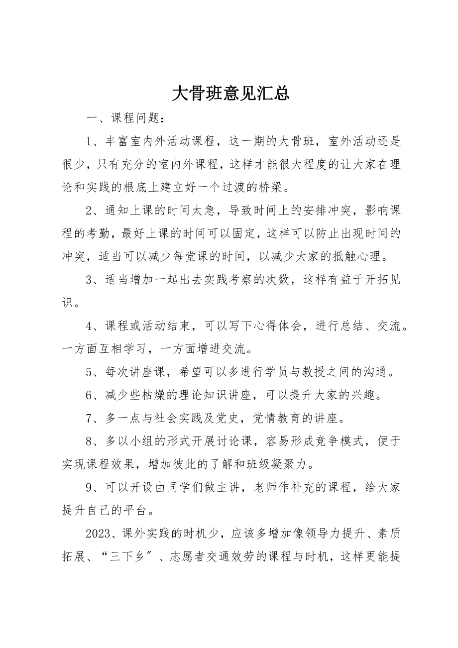 2023年大骨班意见汇总新编.docx_第1页