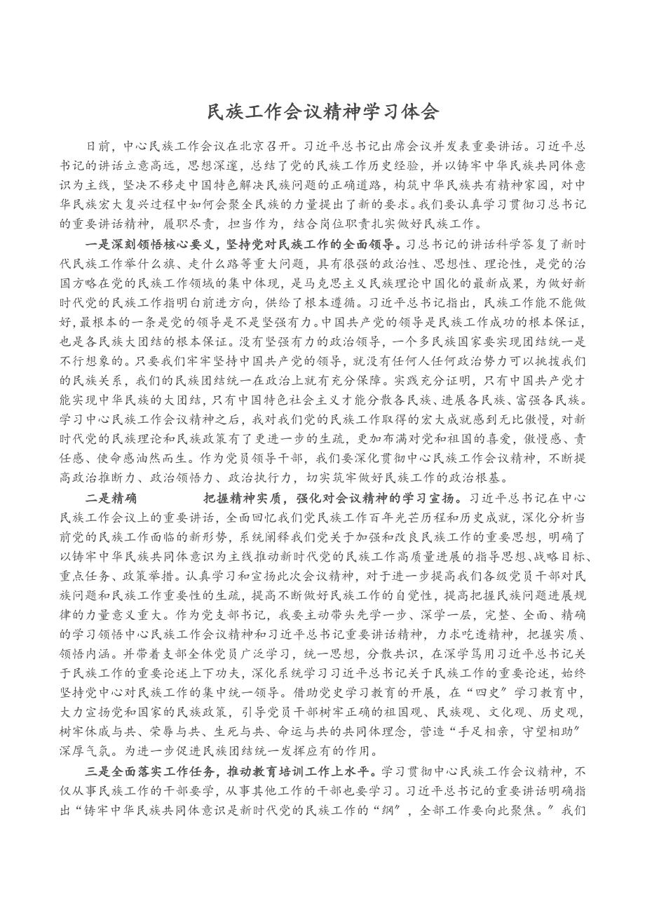 2023年民族工作会议精神学习体会.docx_第1页