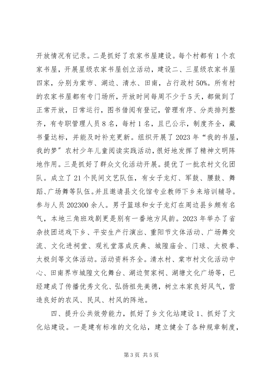 2023年乡镇公共文化事业自查工作总结.docx_第3页