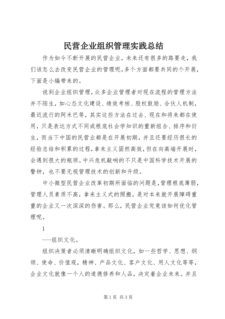 2023年民营企业组织管理实践总结.docx_第1页