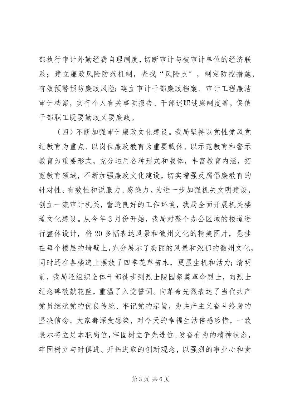 2023年审计机关上年反腐倡廉活动总结.docx_第3页