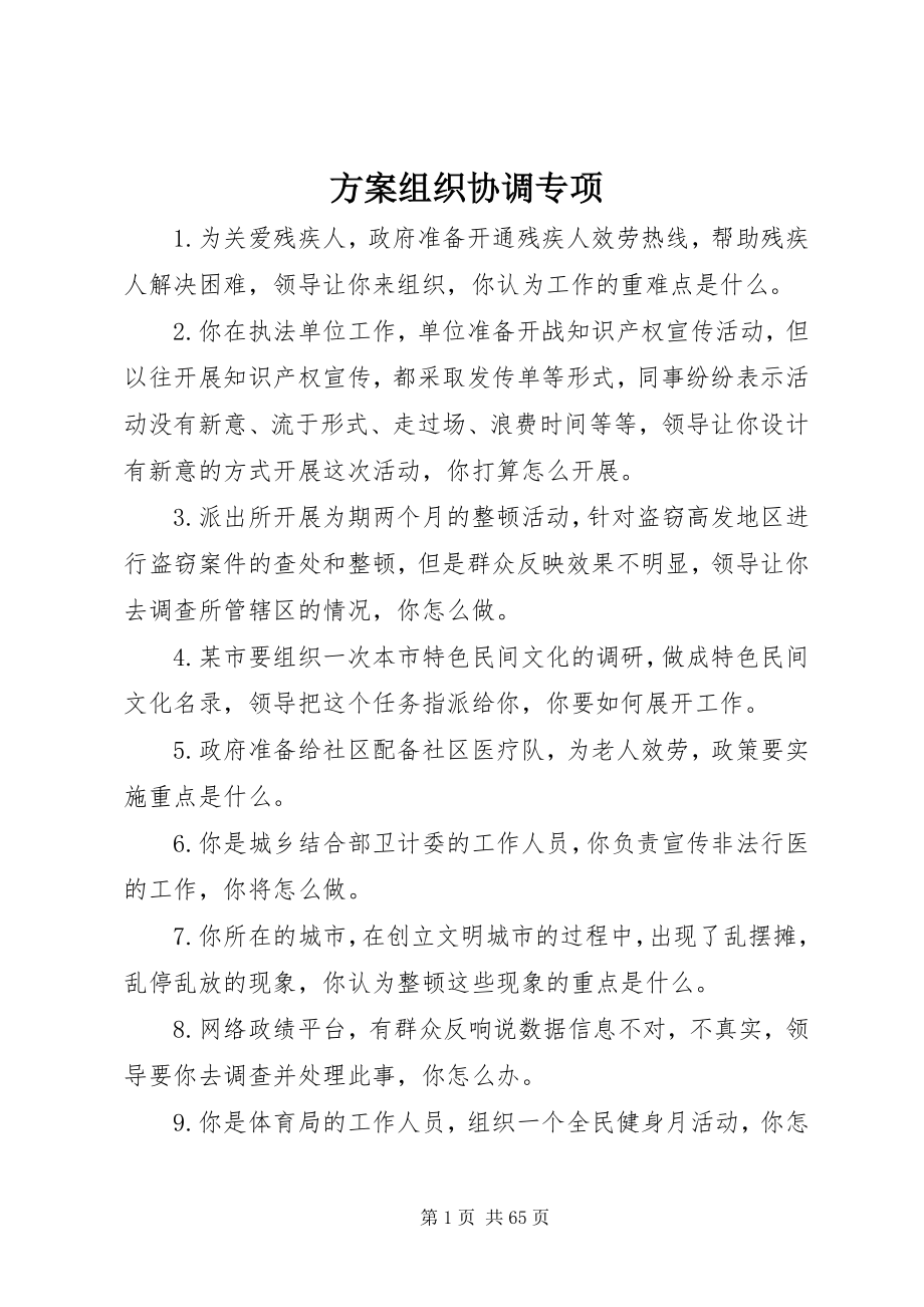 2023年计划组织协调专项.docx_第1页