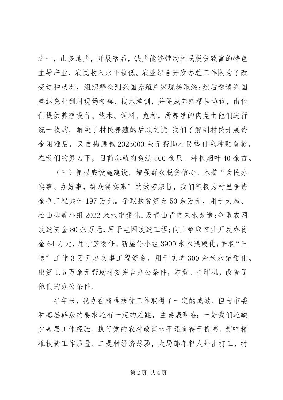 2023年农办上半年精准扶贫工作小结.docx_第2页