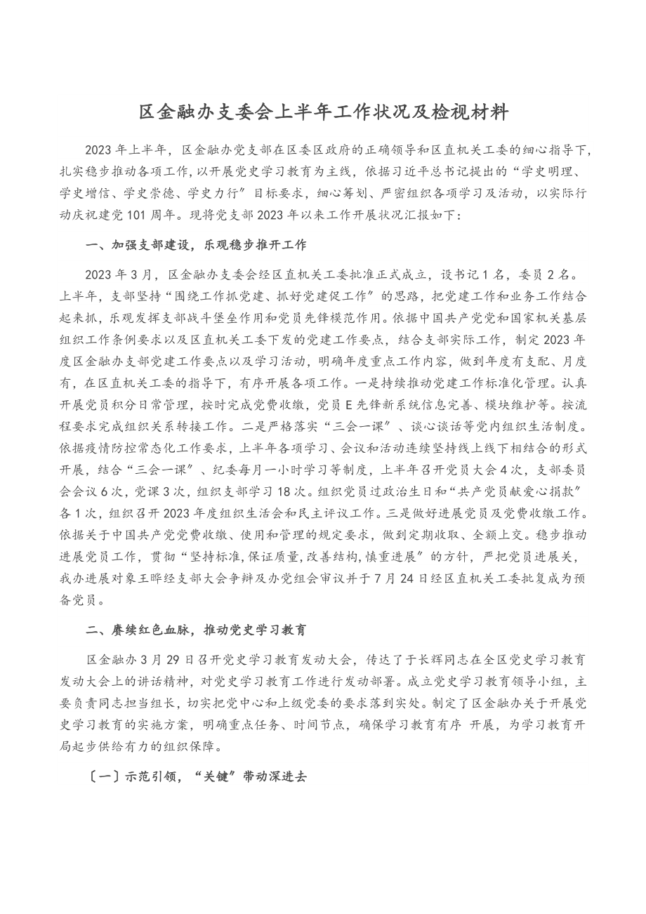 2023年区金融办支委会上半年工作情况及检视材料.doc_第1页