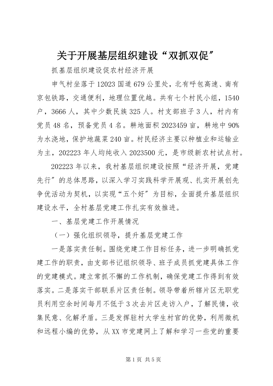 2023年开展基层组织建设“双抓双促”.docx_第1页