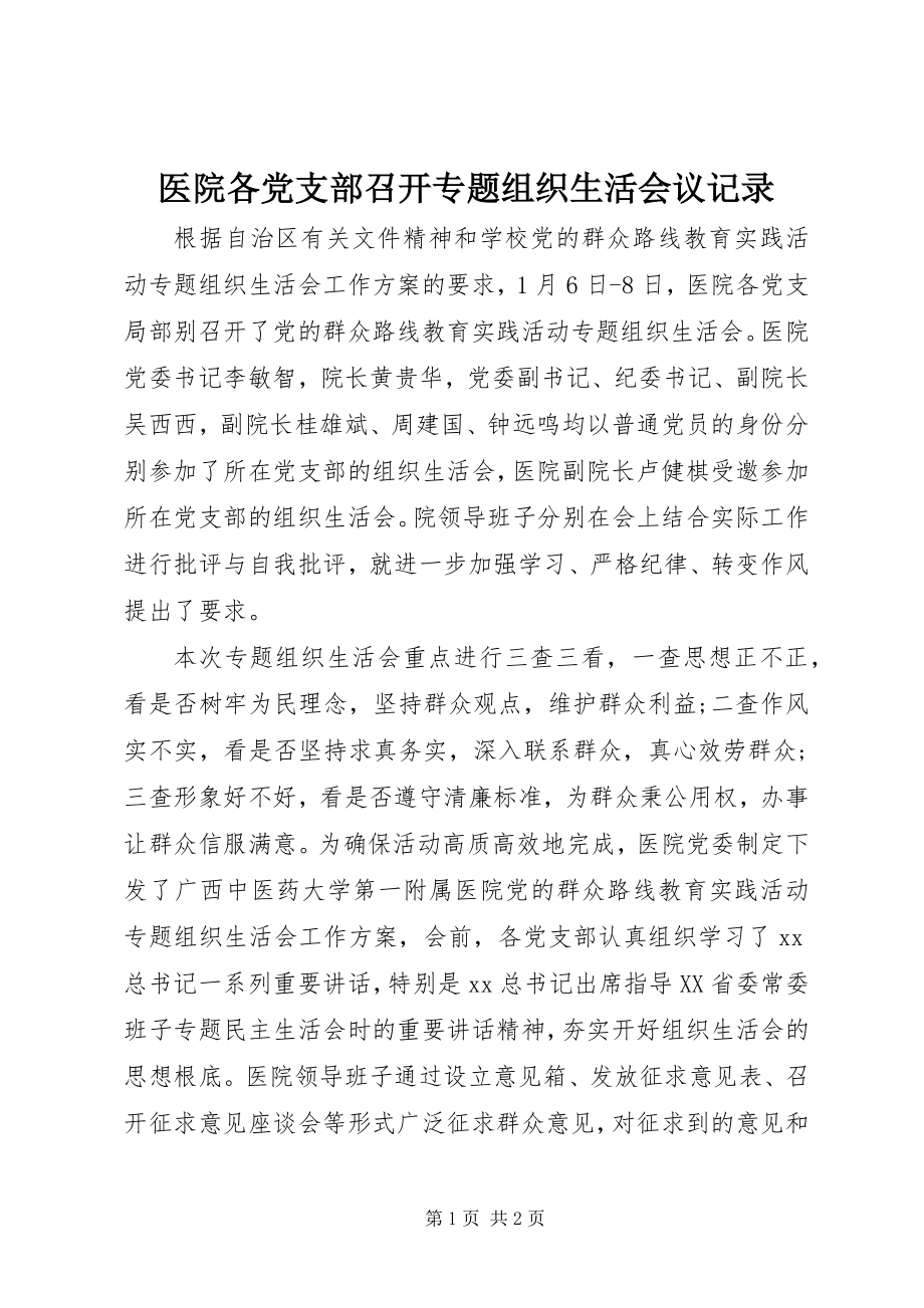 2023年医院各党支部召开专题组织生活会议记录.docx_第1页