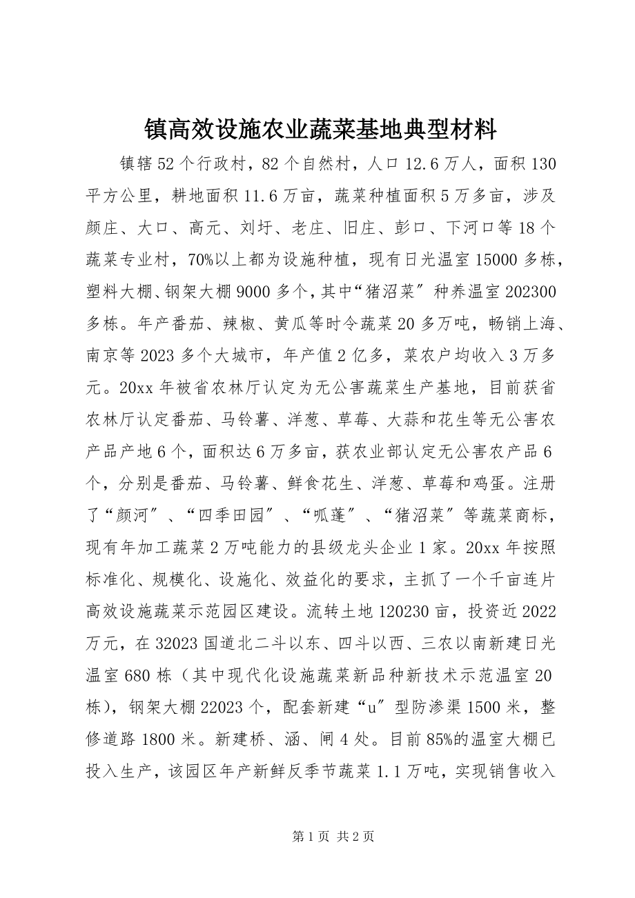 2023年镇高效设施农业蔬菜基地典型材料.docx_第1页