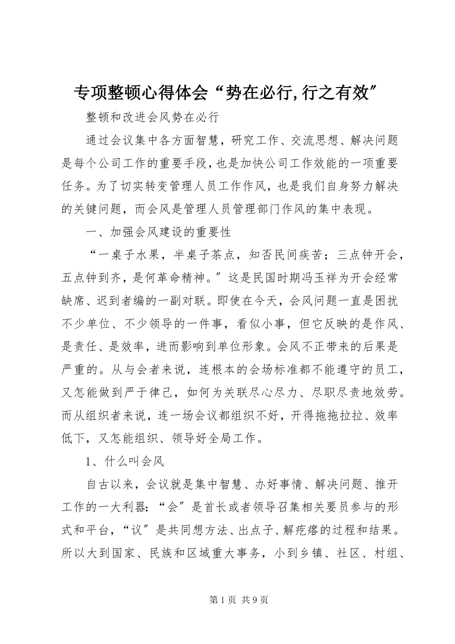 2023年专项整顿心得体会“势在必行行之有效”.docx_第1页