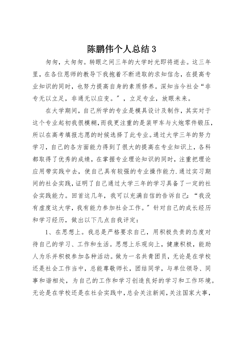 2023年陈鹏伟个人总结3新编.docx_第1页