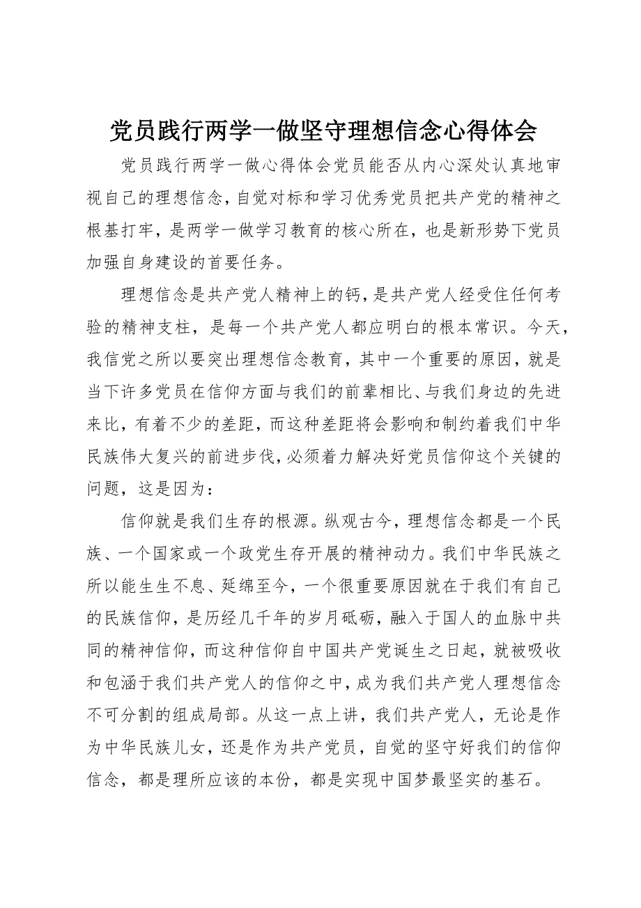 2023年党员践行两学一做坚守理想信念心得体会.docx_第1页