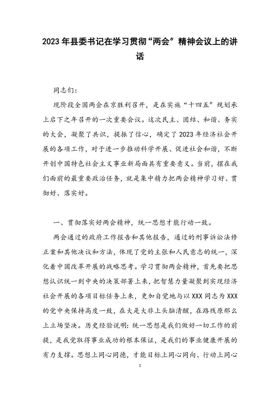 2023年县委书记在学习贯彻“两会”精神会议上的讲话.docx_第1页