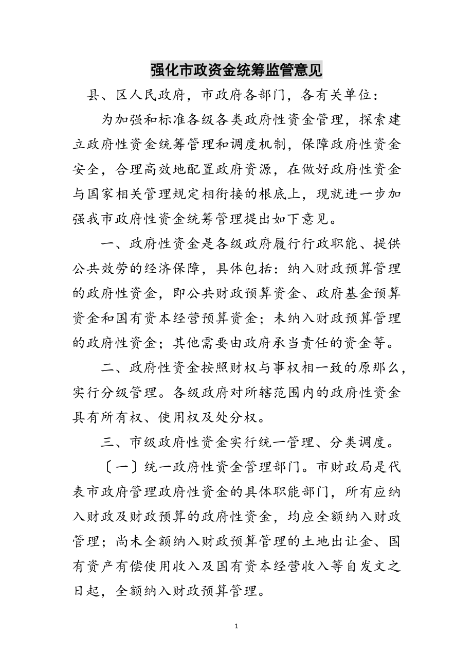 2023年强化市政资金统筹监管意见范文.doc_第1页