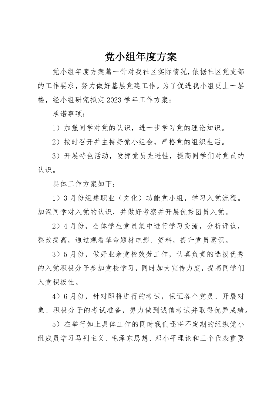 2023年党小组年度计划.docx_第1页