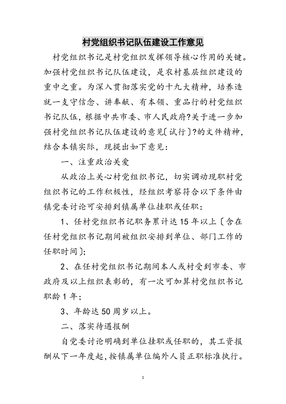 2023年村党组织书记队伍建设工作意见范文.doc_第1页