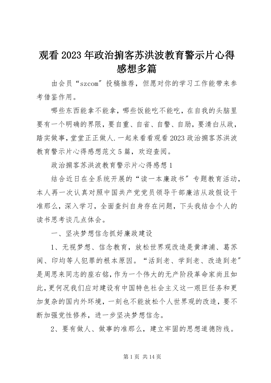 2023年观看《政治掮客苏洪波》教育警示片心得感想多篇.docx_第1页