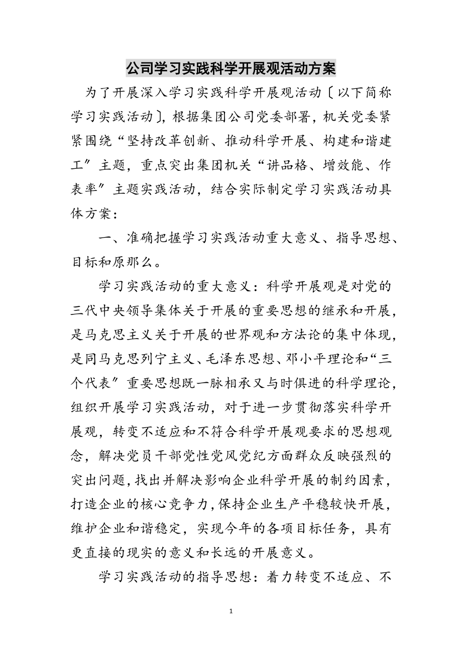 2023年公司学习实践科学发展观活动计划范文.doc_第1页