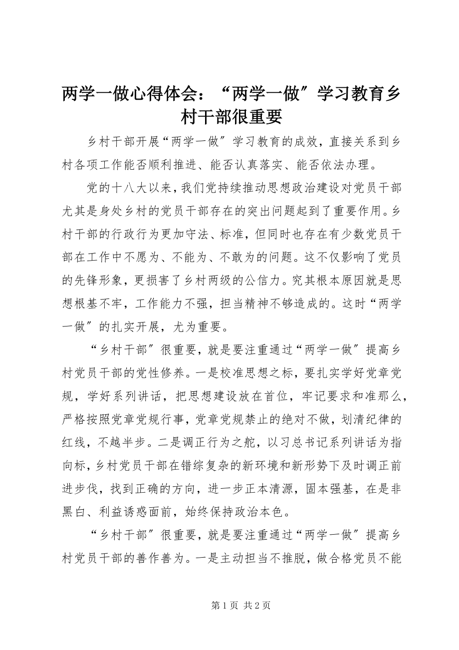 2023年两学一做心得体会“两学一做”学习教育乡村干部很重要.docx_第1页