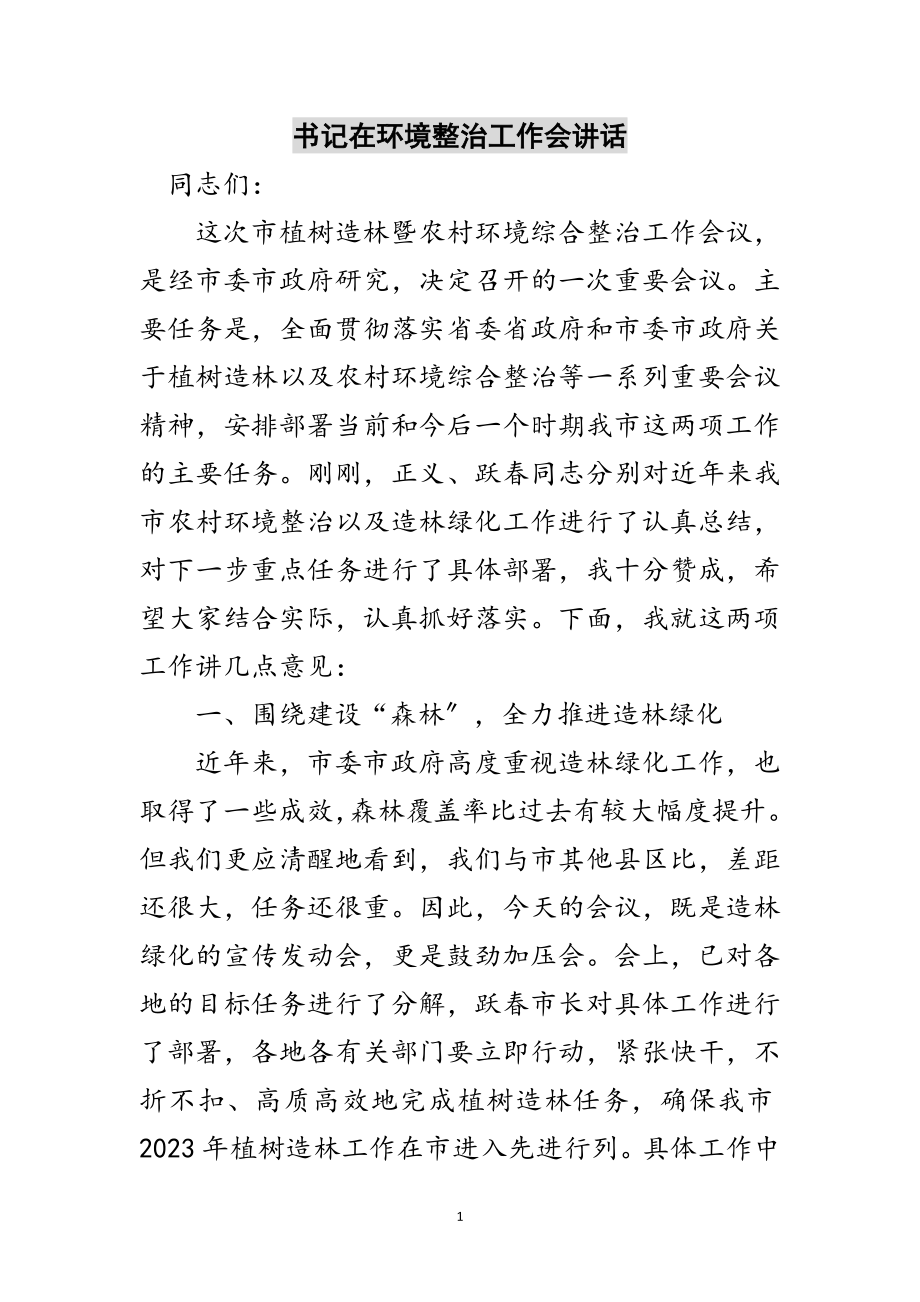 2023年书记在环境整治工作会讲话范文.doc_第1页