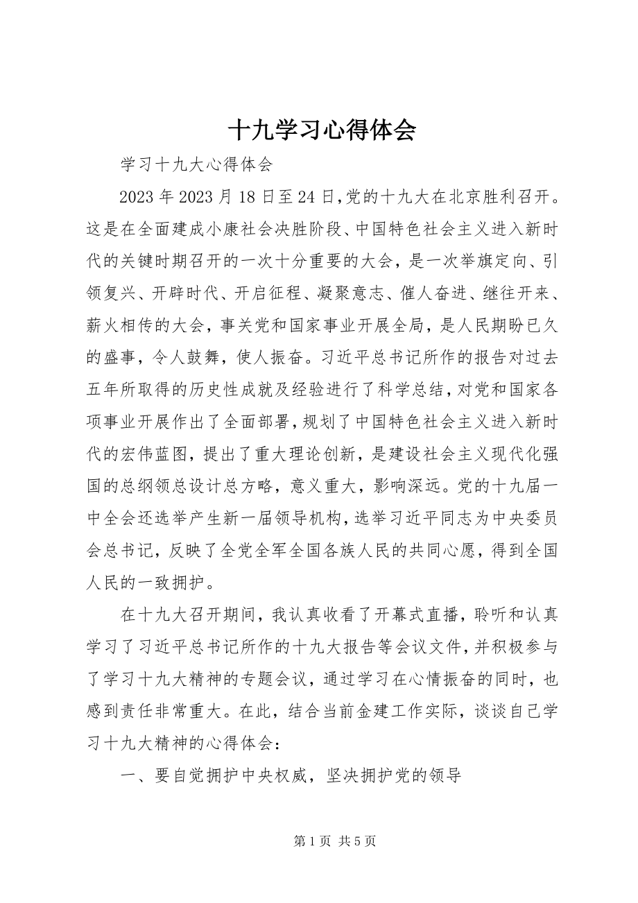 2023年十九学习心得体会.docx_第1页