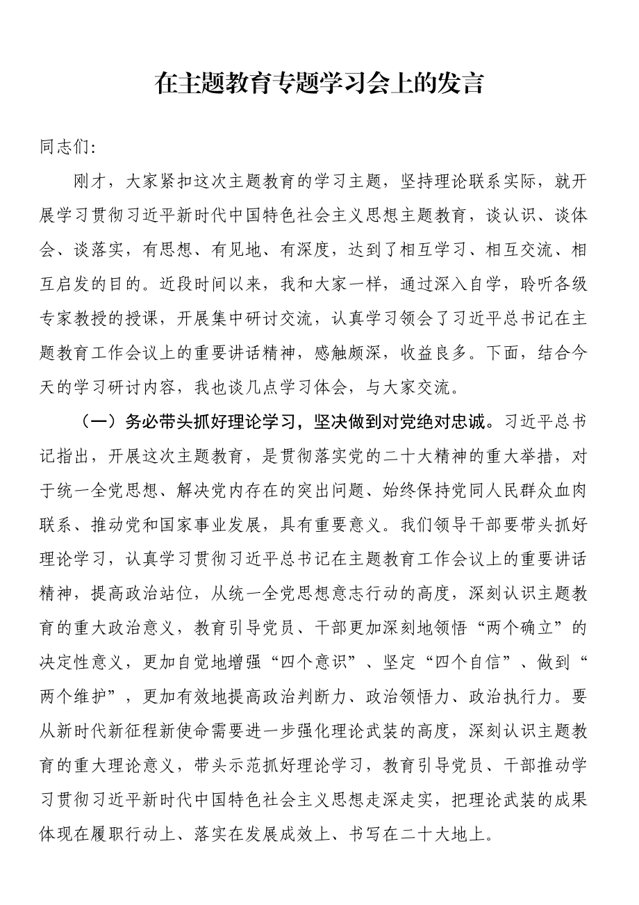 在主题教育专题学习会上的发言 .docx_第1页