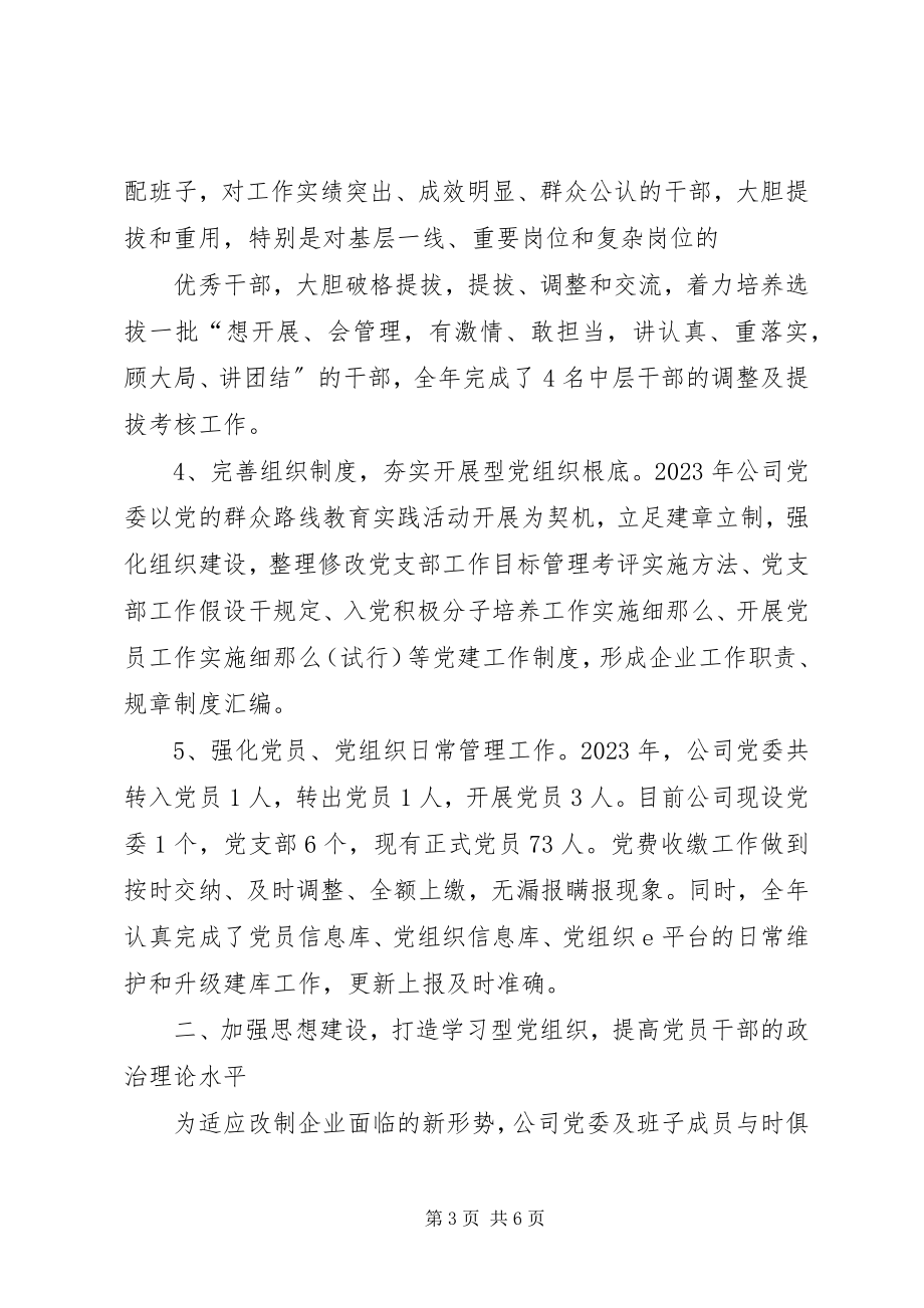 2023年公司某年党建工作总结及某年党建工作计划.docx_第3页