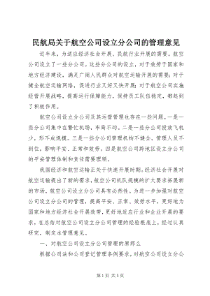 2023年民航局航空公司设立分公司的管理意见.docx