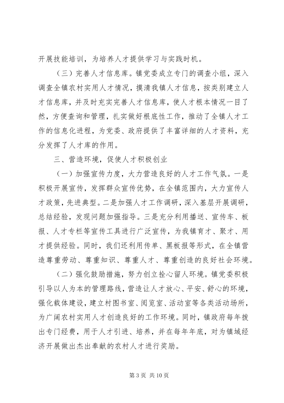 2023年乡镇人才上半年工作总结乡镇上半年工作总结新编.docx_第3页