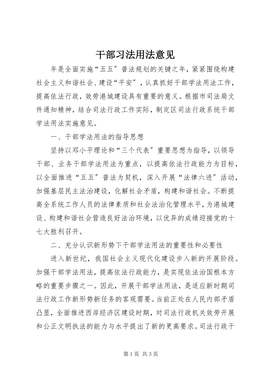 2023年干部习法用法意见.docx_第1页