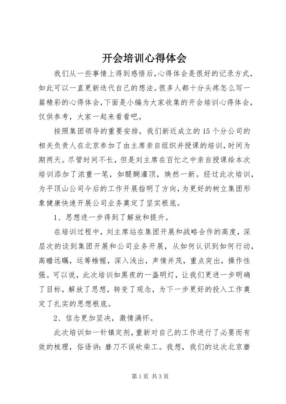 2023年开会培训心得体会.docx_第1页