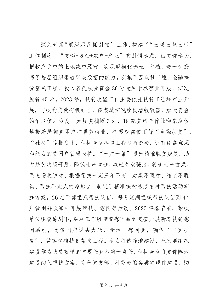 2023年扶贫第一书记个人工作总结.docx_第2页