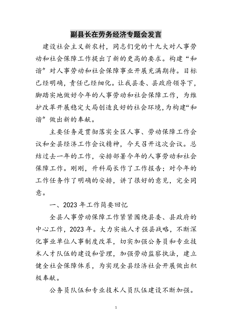 2023年副县长在劳务经济专题会发言范文.doc_第1页