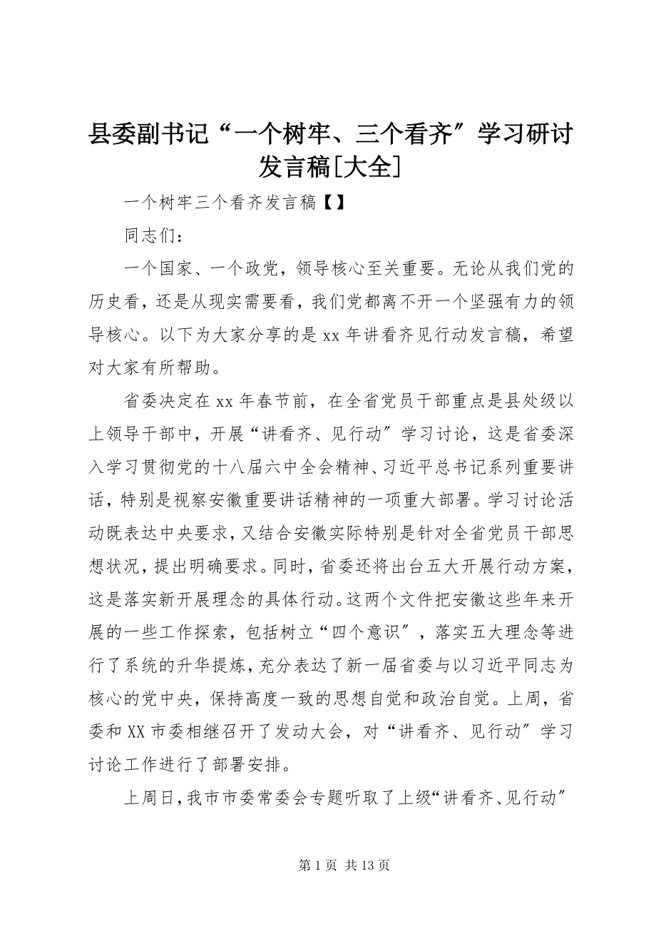 2023年县委副书记“一个树牢三个看齐”学习研讨讲话稿大全.docx_第1页