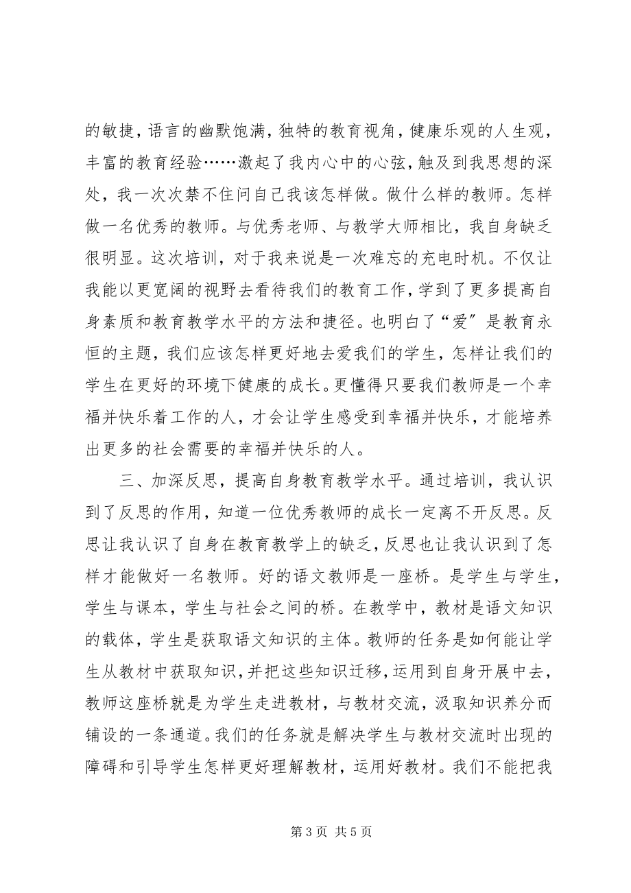 2023年参加送训下乡培训活动个人总结新编.docx_第3页