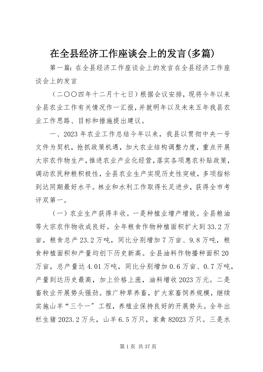 2023年在全县经济工作座谈会上的讲话多篇.docx_第1页