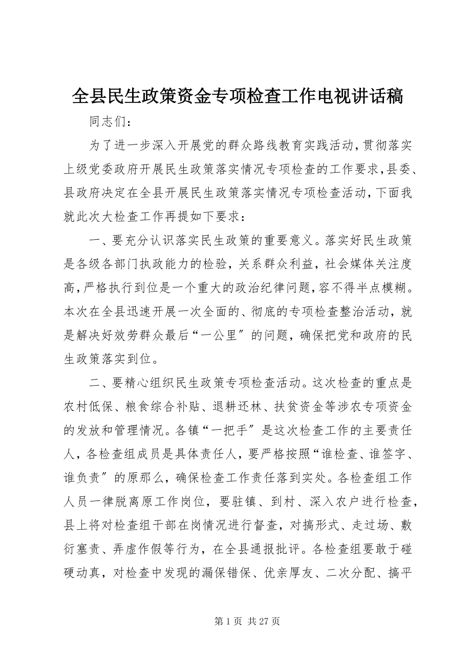 2023年全县民生政策资金专项检查工作电视致辞稿.docx_第1页