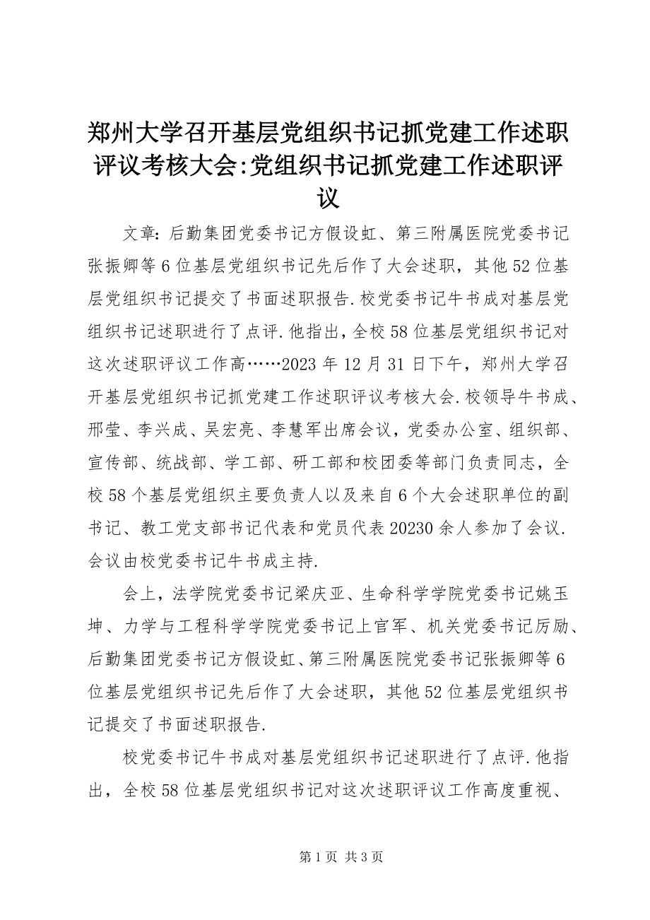 2023年郑州大学召开基层党组织书记抓党建工作述职评议考核大会党组织书记抓党建工作述职评议.docx_第1页