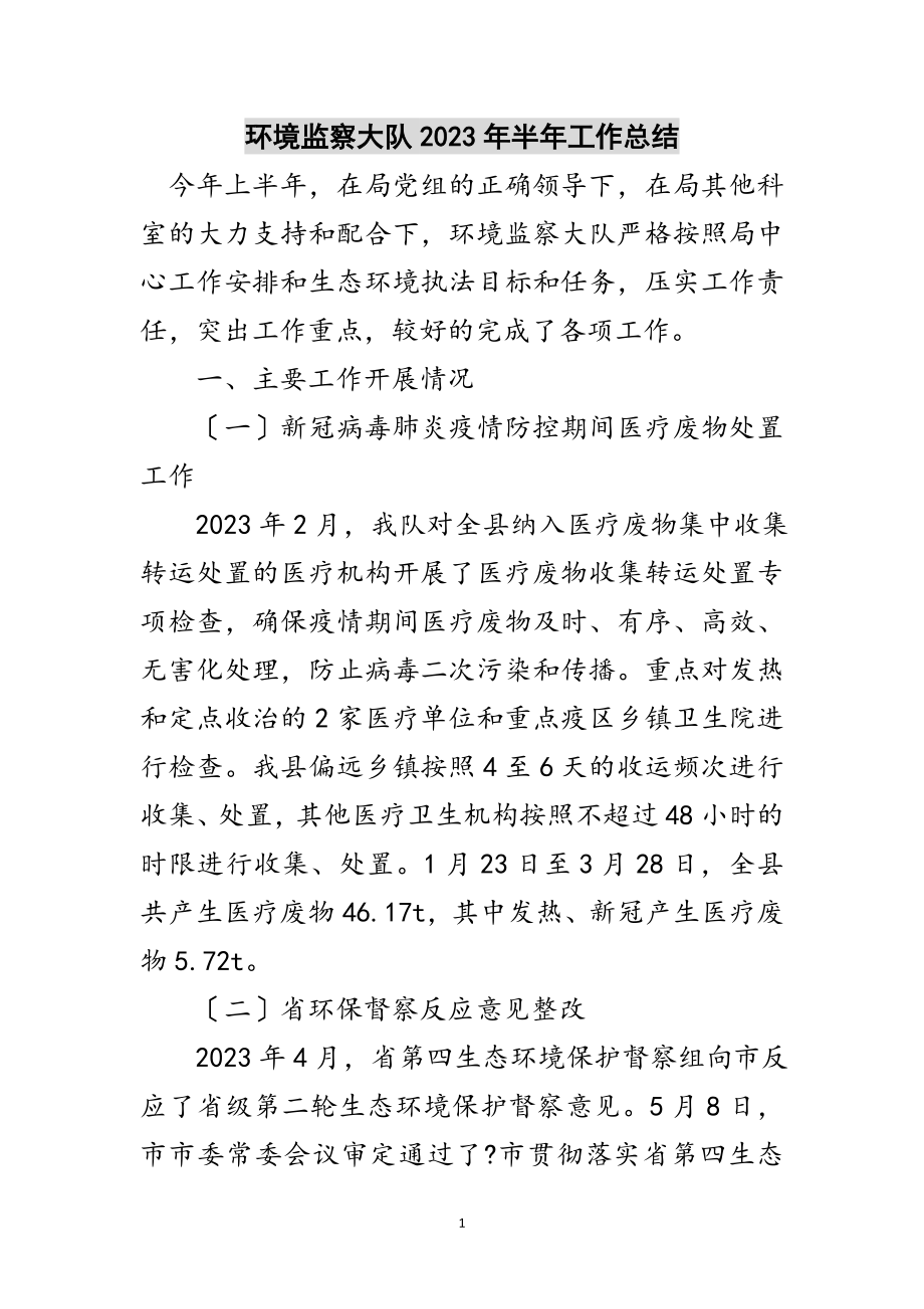 2023年环境监察大队年半年工作总结范文.doc_第1页