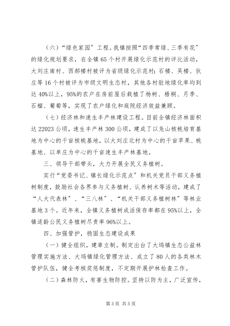 2023年乡镇绿化成果汇报材料.docx_第3页