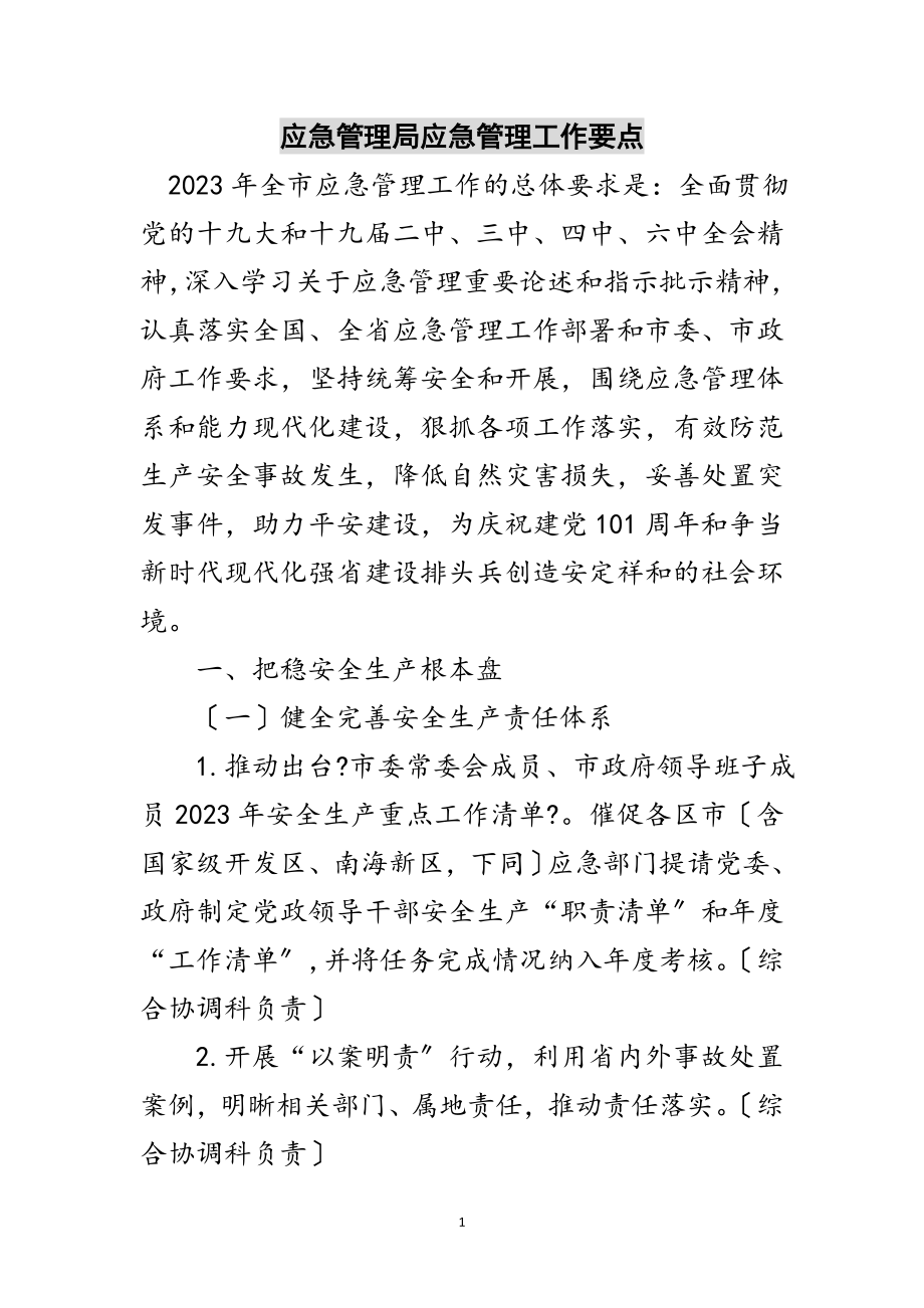 2023年应急管理局应急管理工作要点范文.doc_第1页