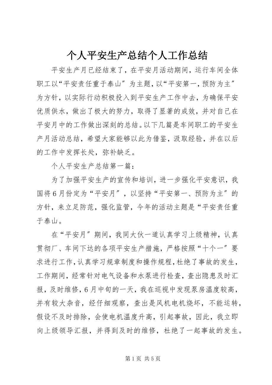 2023年个人安全生产总结个人工作总结.docx_第1页