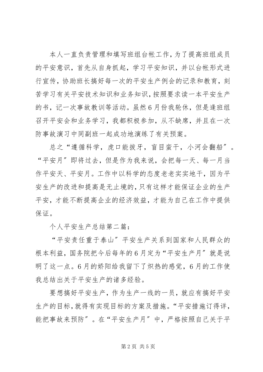 2023年个人安全生产总结个人工作总结.docx_第2页