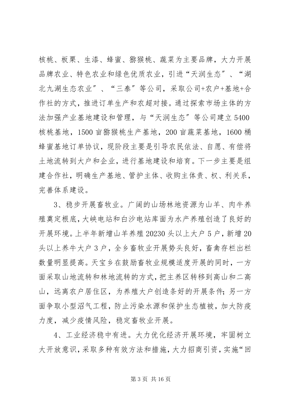 2023年乡镇上半年工作总结暨下半年工作计划.docx_第3页