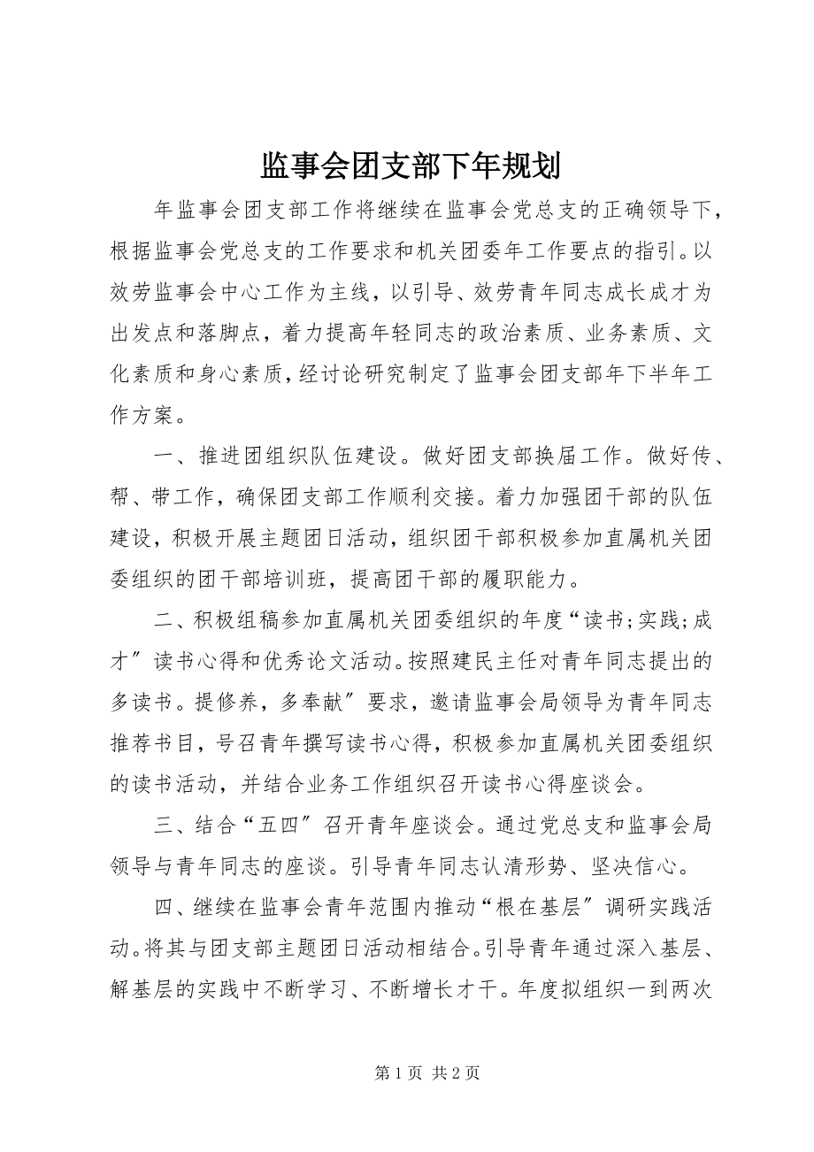 2023年监事会团支部下规划.docx_第1页