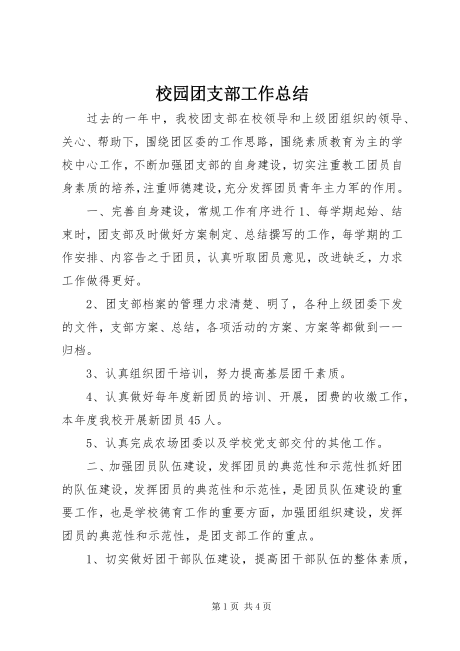 2023年校园团支部工作总结.docx_第1页