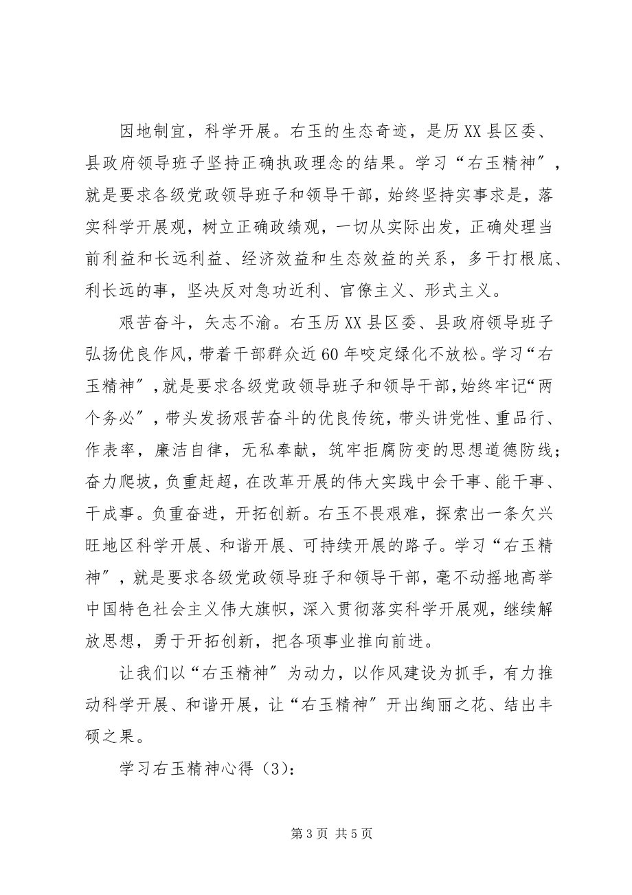 2023年学习右玉精神心得.docx_第3页