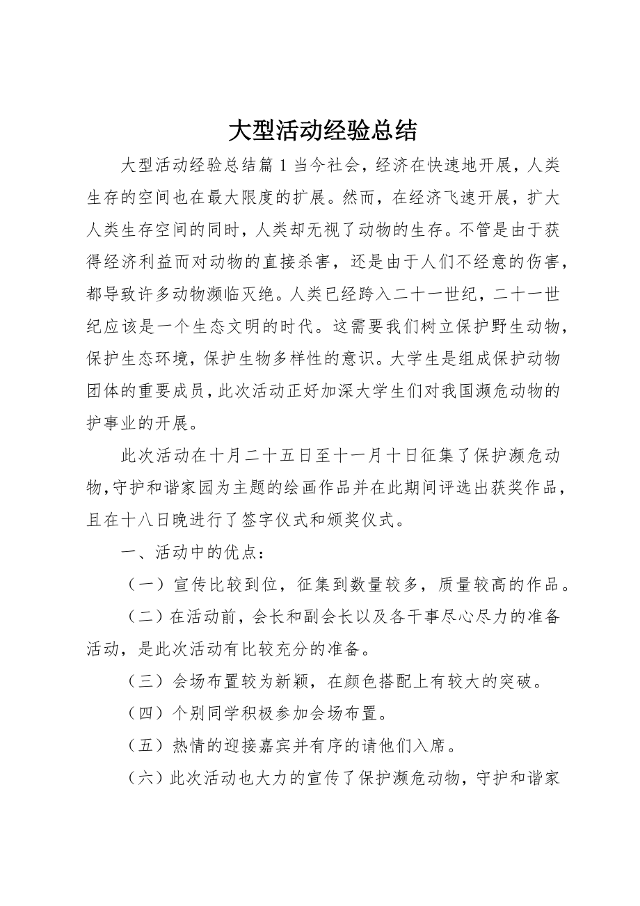 2023年大型活动经验总结.docx_第1页